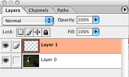 Create another layer on top of the photo layer