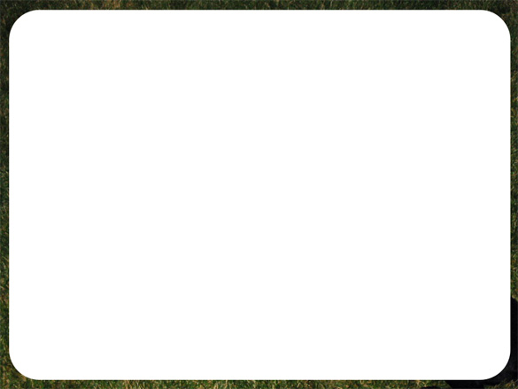 Draw the rectangle